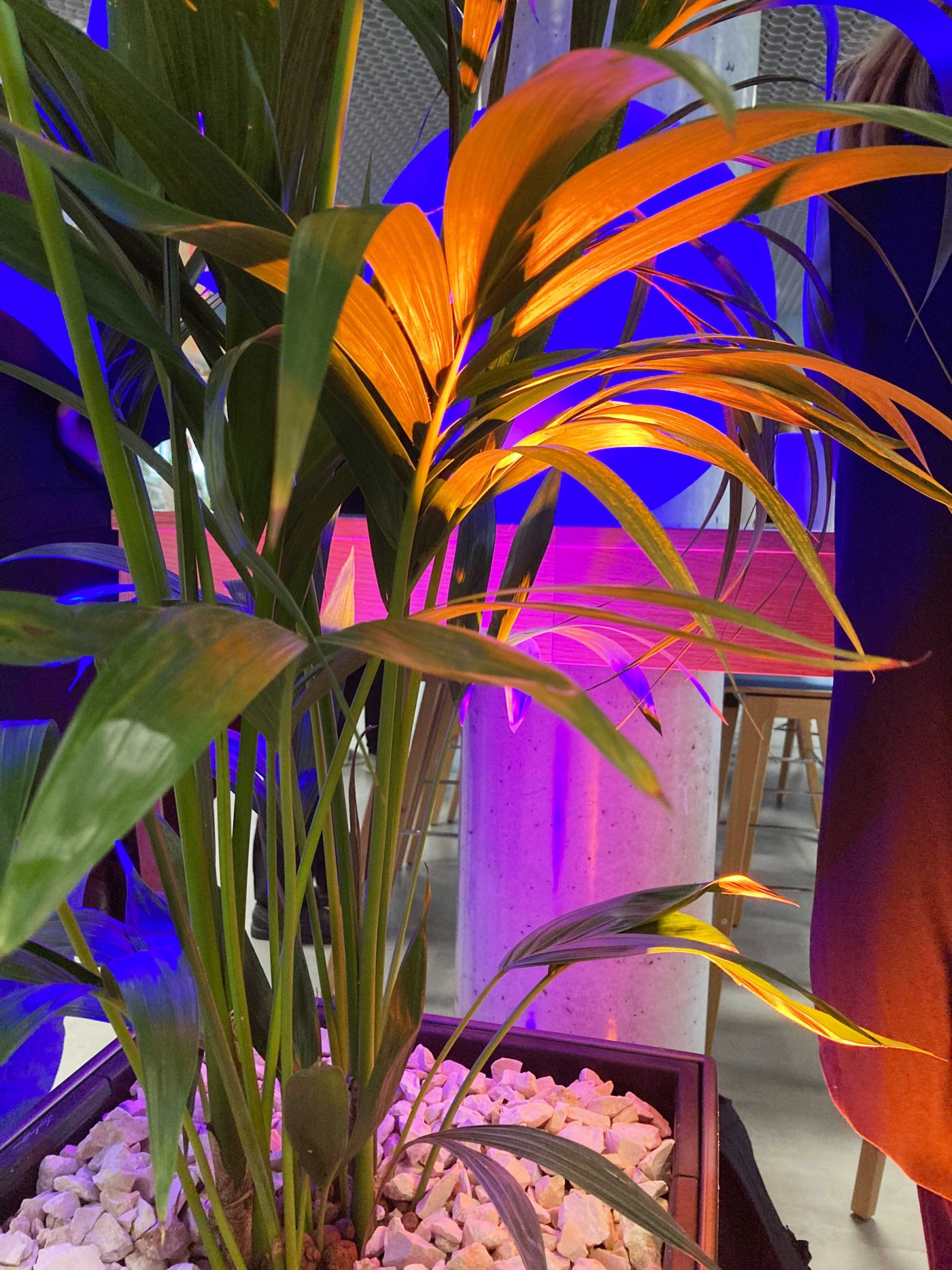 Hochschule Darmstadt die große Eröffnungsfeier