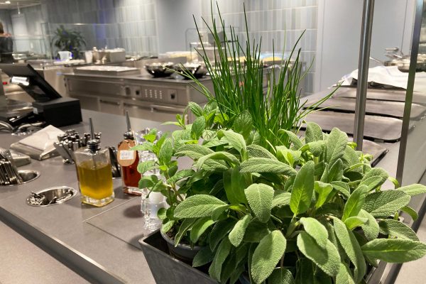 Ausgabetheke Campusrestaurant Schöffers