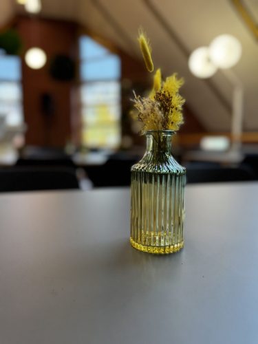 Opening Mesna Oliva Studierendenwerk Trier