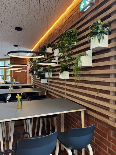 Opening Mesna Oliva Studierendenwerk Trier