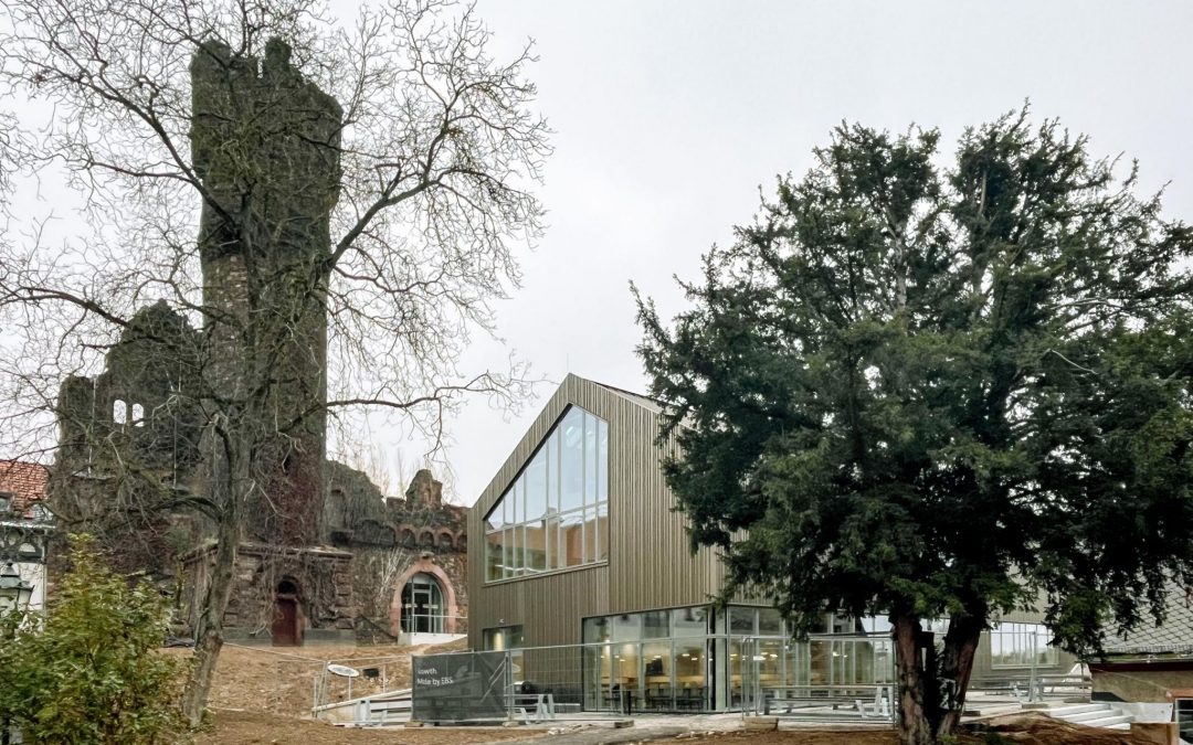 Universität für Wirtschaft und Recht in Oestrich-Winkel